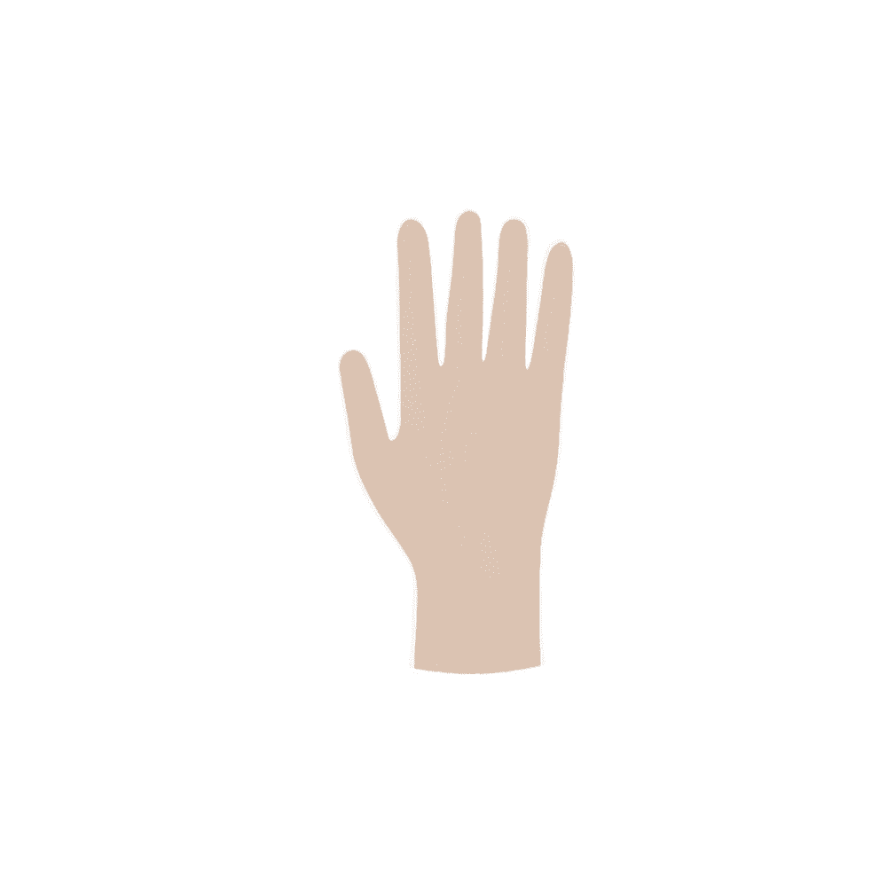 Ilustración de una mano humana en posición neutra con los dedos extendidos, representada en un estilo gráfico plano con guantes desechables estériles Meditrade Copolymed®.