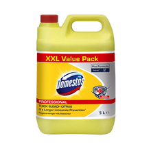 Domestos Pro Formula Citrus Fresh, hygiene cleaner with citrus freshness