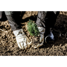 NITRAS full-grain cowhide gloves, natural color / brown, EN 388 cotton | Pack (12 pairs)