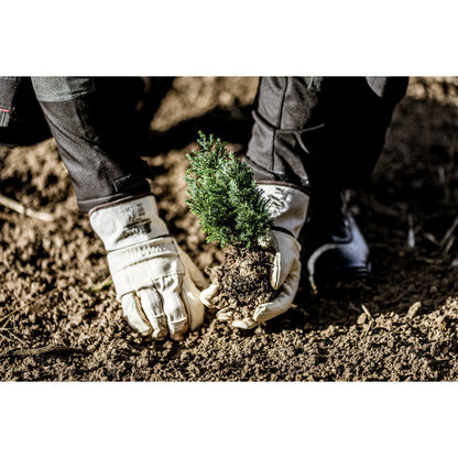 Guantes NITRAS de piel de vacuno, color natural / marrón, algodón EN 388 | Paquete (12 pares)