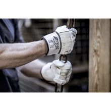 NITRAS PLUTO, full-grain cowhide gloves, natural color / gray, EN 388 cotton | Pack (12 pairs)