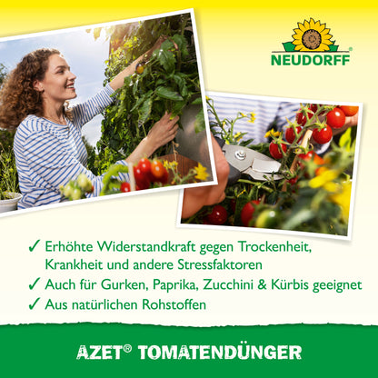 Eine Frau erntet Tomaten, Nahaufnahme der Hände beim Schneiden. Text highlights reiche Ernte dank Azet TomatenDünger von Neudorff Shop - ideal zum Tomaten düngen und für verschiedenes Gemüse geeignet. Neudorff Shop Logo sichtbar.