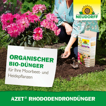 Jemand pflanzt rosa Rhododendron und Azaleen und hält die Erde neben dem Azet RhododendronDünger von Neudorff Shop. Ein Schild zeigt Produkt- und Pflanzendaten im Gartenbeet an.