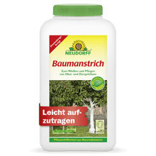 pintura de arbol organica