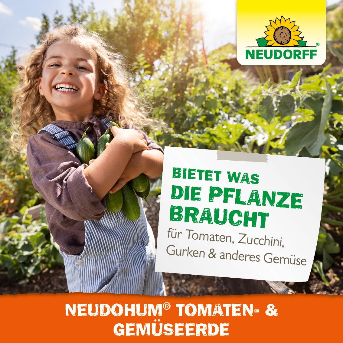 Ein lächelndes Kind in einem Garten hält Zucchinis - frisches Sommergemüse. Dahinter gedeihen grüne Pflanzen. Auf einem Schild steht: "NeudoHum Tomaten- & GemüseErde - bietet alles für Tomaten, Zucchini, Gurken & anderes Gemüse." Neudorff Shop Logo oben rechts.