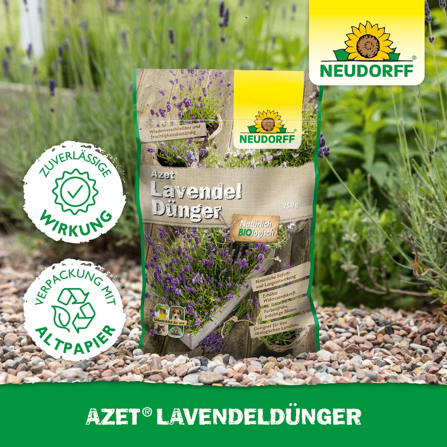 Eine Tüte Neudorff Shop Azet LavendelDünger liegt auf einem Gartenweg aus Kies neben Lavendel mit blau-violetten Blüten. Auf der Verpackung steht "umweltfreundlich" in deutscher Sprache.