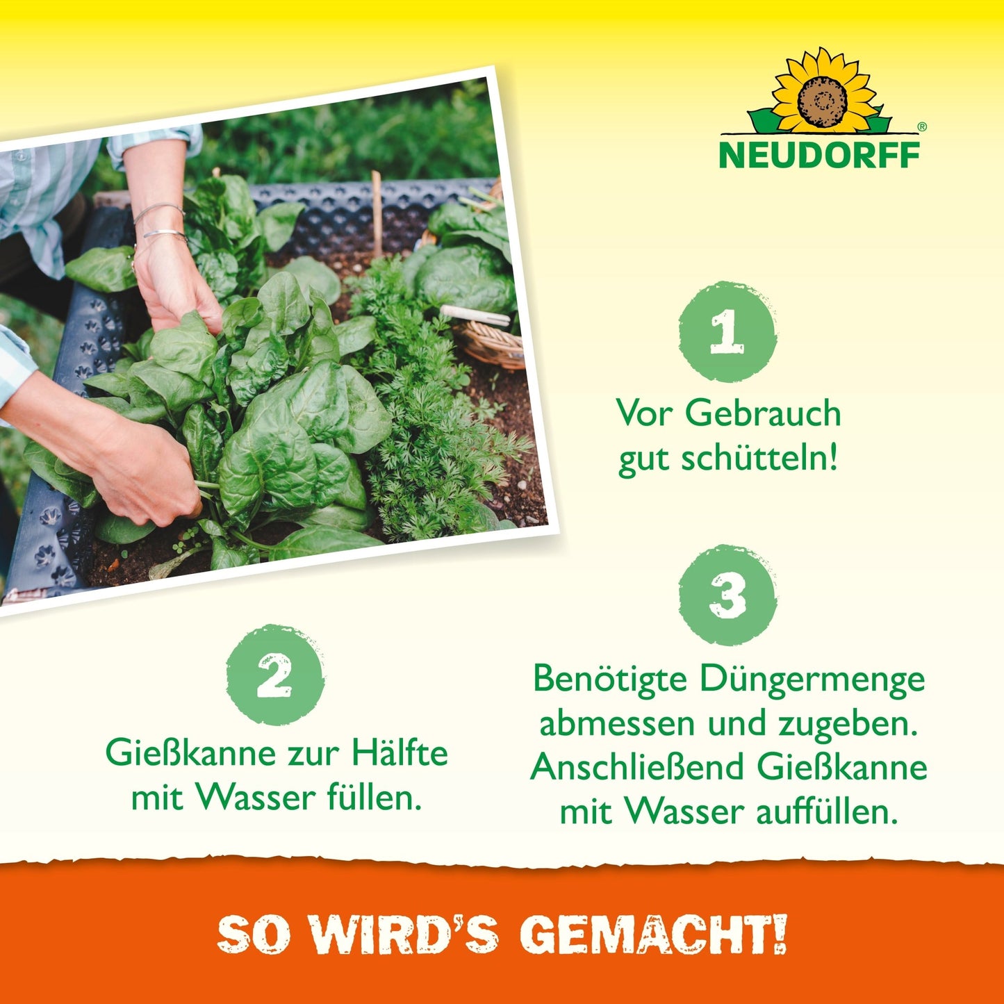 Una persona aplica Azet HochbeetDünger líquido del Neudorff Shop a plantas de hojas verdes en un bancal elevado con una regadera. Se muestran los pasos de preparación para la solución nutritiva y el logotipo de Neudorff, incluida la instrucción en alemán.