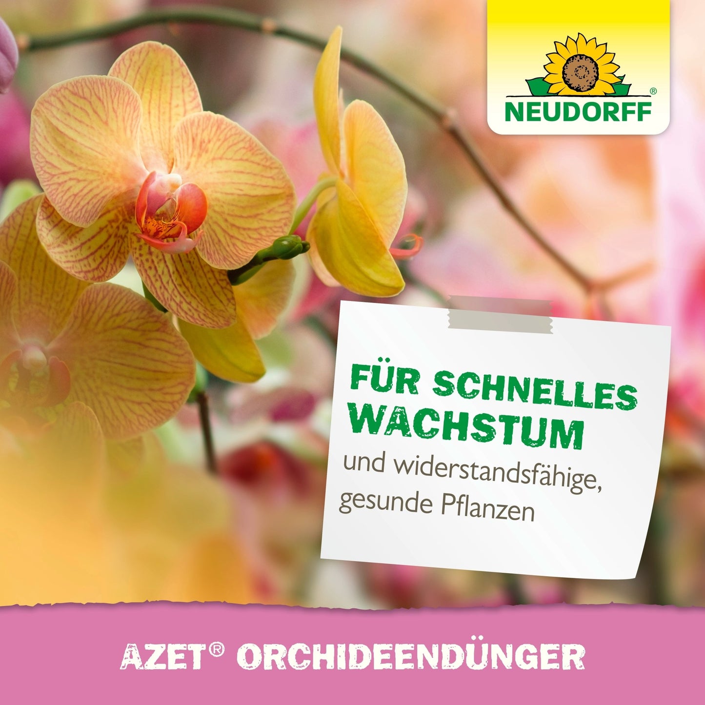 A close-up of yellow and pink orchids with the Neudorff Shop logo. The German text advertises "Azet Orchid Fertilizer liquid" for stunning blooms, rapid growth, and strong, healthy plants.