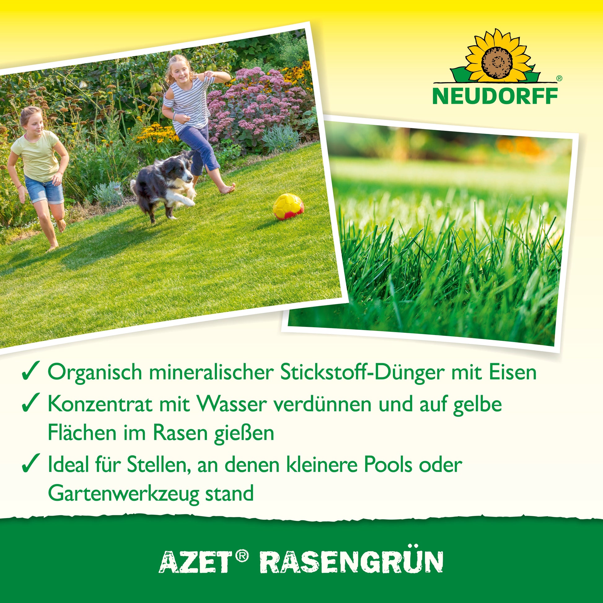 Eine Frau und ein Kind laufen mit einem Hund auf einer grünen Wiese. Inset zeigt üppiges Gras. Der Text hebt die schnelle Wirkung von Neudorff Shop Azet RasenGrün innerhalb von 4 Tagen hervor - ideal bei gelben Flecken - und gibt Hinweise zu den Eigenschaften und zur Anwendung.