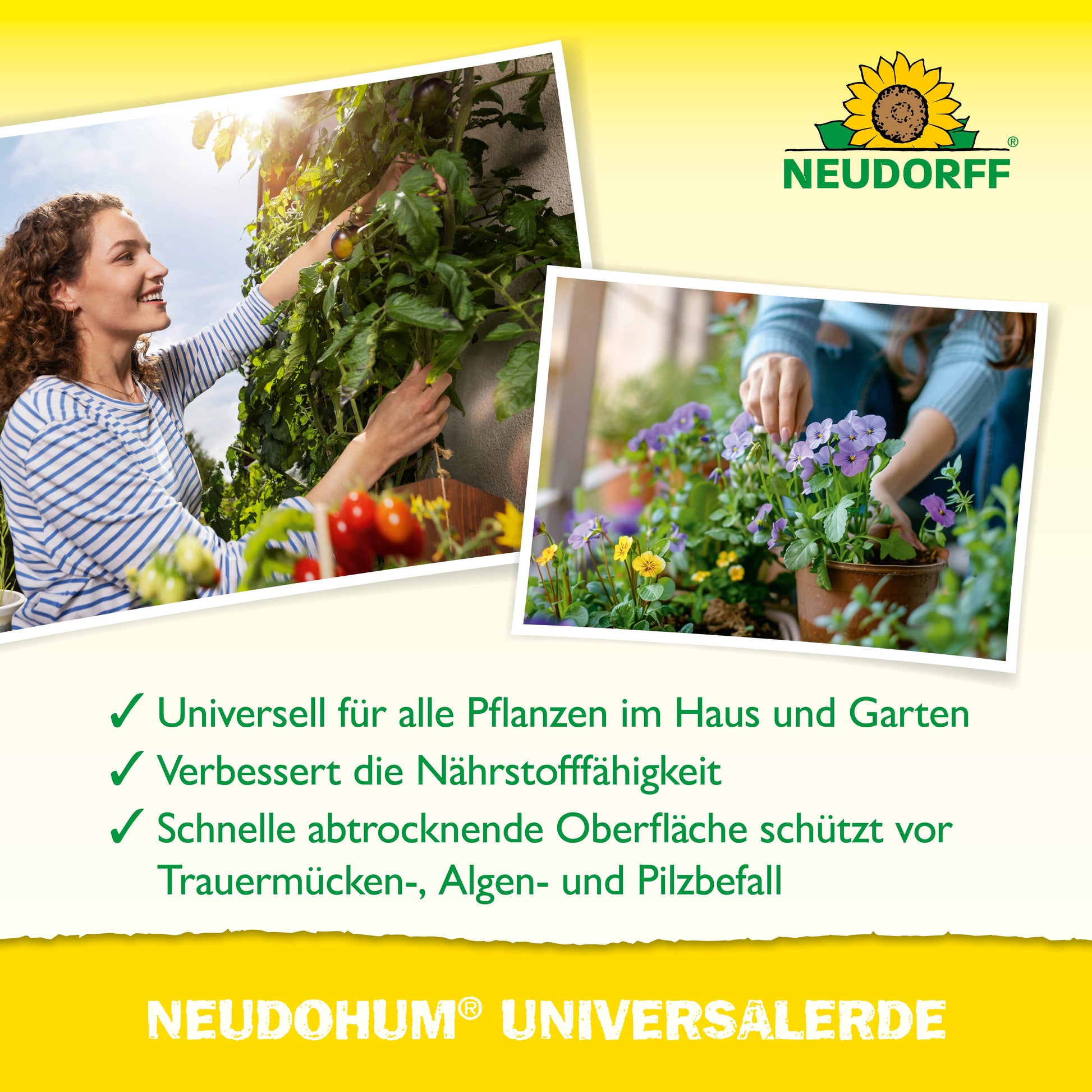 Eine Frau pflegt Tomatenpflanzen, eine andere arrangiert Topfblumen. Der Text hebt die NeudoHum UniversalErde von Neudorff Shop hervor, die eine bessere Nährstoffverfügbarkeit bietet und vor Schädlingen, Algen und Pilzen schützt. Das Neudorff-Logo ist oben abgebildet.