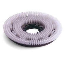 Numatic Octo Nylon skurebørste 300mm for TTV678/TVL850 | Pakke (1 stk)