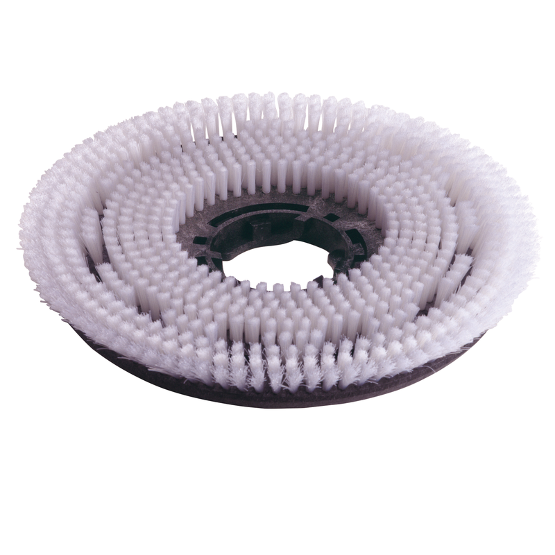 Cepillo champú de nailon Numatic 450 mm | Paquete (1 pieza)