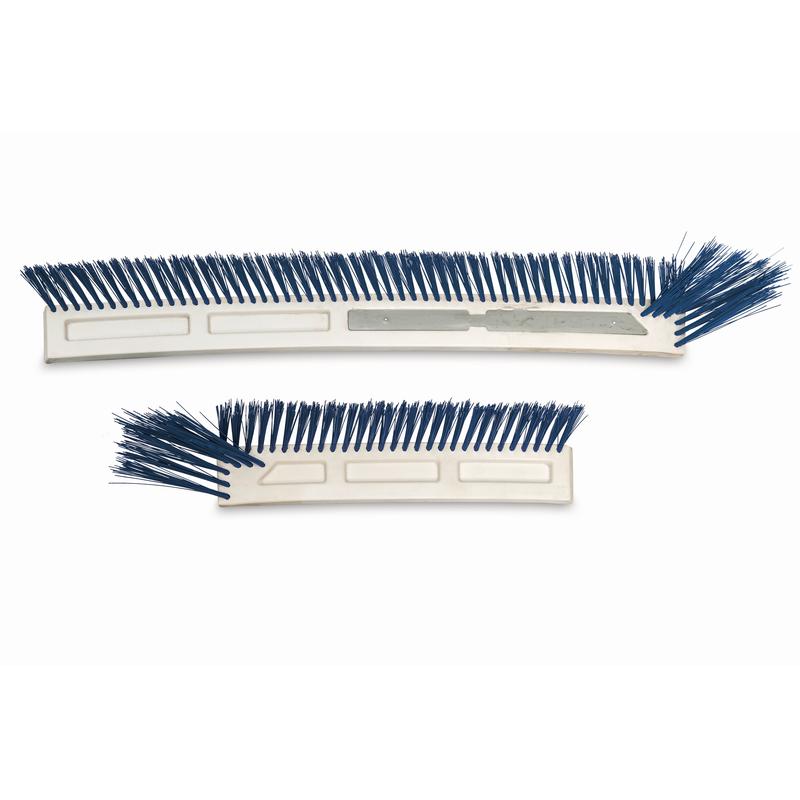 A TASKI IntelliSweep sweeping device - front, replacement sweeping device from Diversey Deutschland GmbH & Co. OHG (1 piece) with blue bristles and a white plastic base lies on a white background, one longer and worn, the other shorter and even.