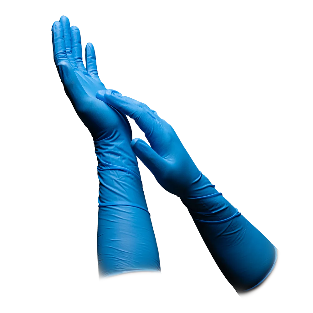 Ich trage zwei blaue Handschuhe von AMPri MED-COMFORT BLUE ULTRA 400 Nitrilhandschuhe extra lang von AMPri Handelsgesellschaft mbH und ziehe mit einer Hand den zweiten Handschuh über Handgelenk und Unterarm vor einem schlichten weißen Hintergrund. Diese blauen Untersuchungshandschuhe haben ein tailliertes Design und reichen über die Handgelenke hinaus, um zusätzlichen Schutz zu bieten, was sie ideal für den Einsatz in der Lebensmittelindustrie macht.