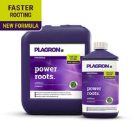 Imagen de dos envases de Plagron Power Roots de Bertels B.V.: un frasco cuadrado grande y otro más pequeño, ambos de color violeta. Las etiquetas destacan la «formación más rápida de raíces» gracias a una «nueva fórmula» con ácidos húmicos, en colores amarillo brillante y violeta.